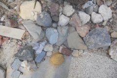 DSCN0161