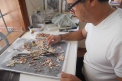 DSCN0643