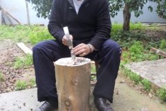 DSCN1141