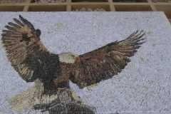 IMG-20251003-WA0027