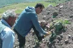 IMG-20251003-WA0033