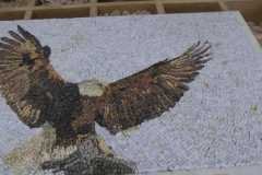 IMG-20251003-WA0038