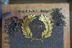 Mariomicromosaics