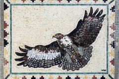 Eagle 52 x 41cm