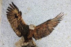 Αετός